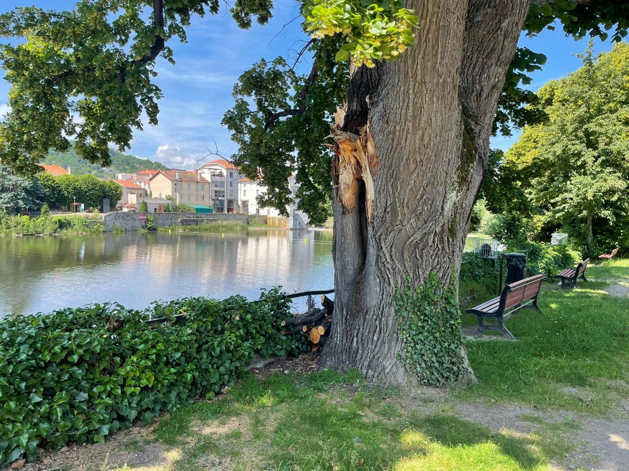 Villa La Brivoise - Maison Calme Et Cosy , Wifi, A 5Min Du Puy à Brives-Charensac Extérieur photo